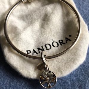 Pandora silver bangle w/ 1 two tone charm